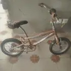 سيكل كوبرا للبيع