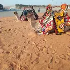 جمال للايجار