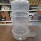 مشربيه طيور بادجي كروان روز كنيور كويكر كناري دره