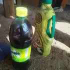 قطران