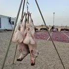 شوي خارجي