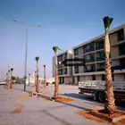 نخل نخيل واشنطن