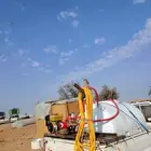 رش نخل كل المبيدات لمكافحة كل الحشرات