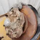 هوبات نيسان ددسن 1992