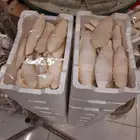 عظم حبار كروان روز كنيور كويكر سنقالي دره بادجي