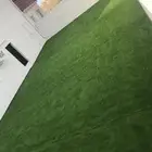 مزروع عشب اخضر صناعي شبه نظيف البيع عجل