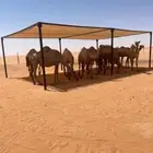 مضلات الابل  المتحركة جودة عالية