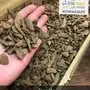 عود دقة موروكي
