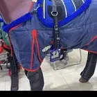 مستلزمات خيل لباده ركوب ولطاشات