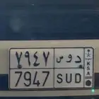 للبيع لوحة دوس