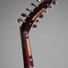 تعليم عود