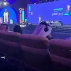 تنظيم معارض ومؤتمرات وحفلات