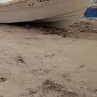 رخصة صيد في السفانية المنطقة الشرقية