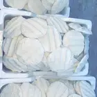 سمن بقر مضمون الموقع فيفاء