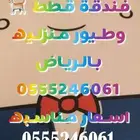فندقة وقت سفرك قطط - طيور - 6061 24 0555 مشاهدة التقييمات
