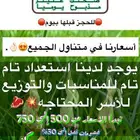 ذبايح سواكني حري تيوس خير بلدنا