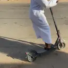 كلب شيرازي للبيع سبب البيع مغير يسحب جلنطات كماموضح فصوره