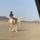 للبيع رحوال