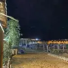 مربط ريانه للخيل العربيه