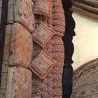 كنب