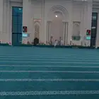 سجاد مسجد سميك وخفيف