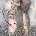 دبة تلوث فورد