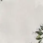 تصميم مقاطع وصور واي شي