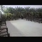 مزرعة للبيع