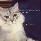 قطوه ضايعه الي يلاقيها بالله يكلمني له هديه ماليه