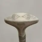 عصا فاخره من انوادر