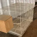 قفص طيور للبيع .