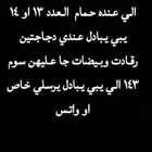 الي عنده حمام يبي يبادل با دجاج يرسلي