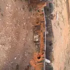 شاص دنا طوله تقريبا  5 متر