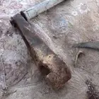 القصيم الرس هندل بلاكستون
