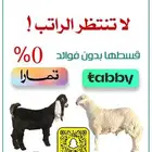 ذبيحتك لباب بيتك - تابي تمارا - بدر الابواء الرايس
