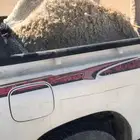 قعدان فل شحم توني شالها من امتها اليوم