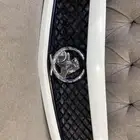 شبك كابريس هولدن