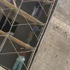 لياسة فلل شقق ملاحق