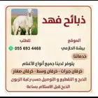 طليان