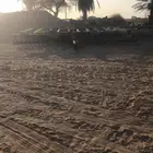 دسك جندير 68 قرص