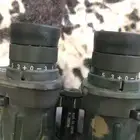 دربيل جلوريا