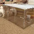 شبك دجاج للبيع