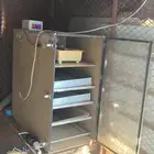 فقاسه امريكي للبيع