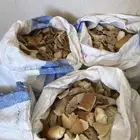 خبز للحلال نظيف جدا 4 اخياش سعر الخيشه 20 ريال