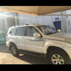 برادو
