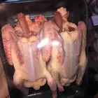 زغاليل حمام بلدي