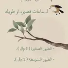 رف ه لفندقة الطيور   .
