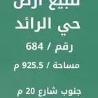 ارض بحي الرائد