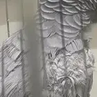 نشتري الطيور المريضه او اي طير