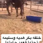 خلفه بكر هديه وسليمه